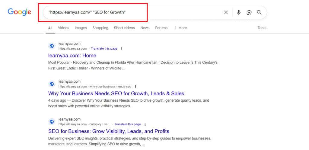 Google search screenshot